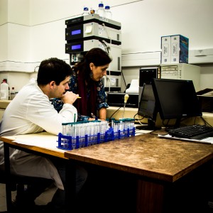 Two researchers working